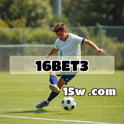 16bet3: Suporte Que Eleva Sua Experiência de Jogo